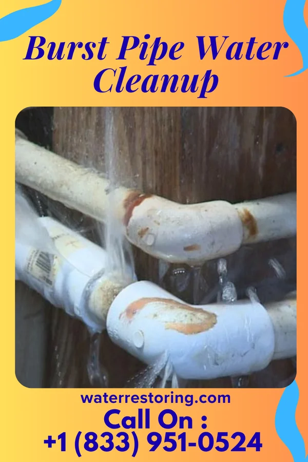 Burst Pipe Water Cleanup in Edwardsport, IN