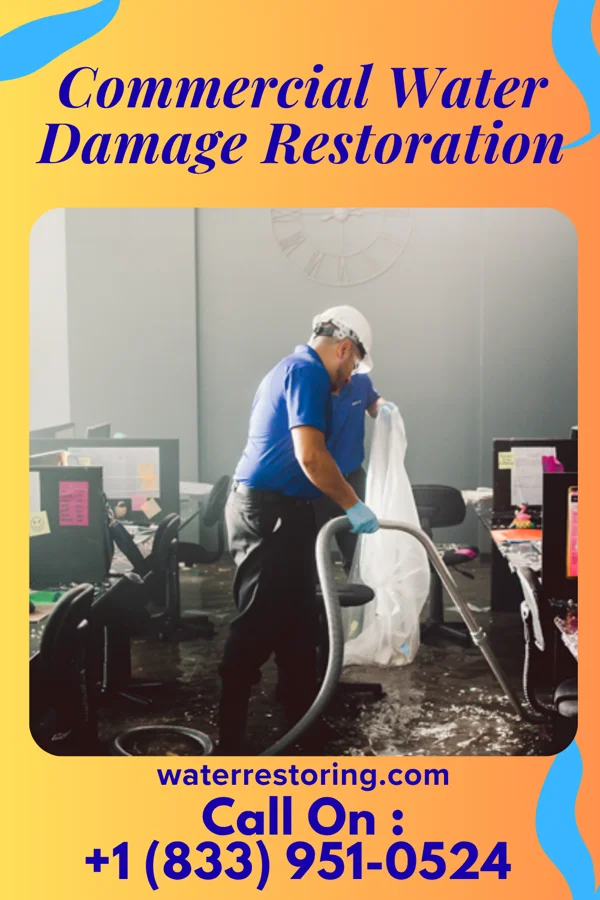 Commercial Water Damage Restoration in Edwardsport, IN