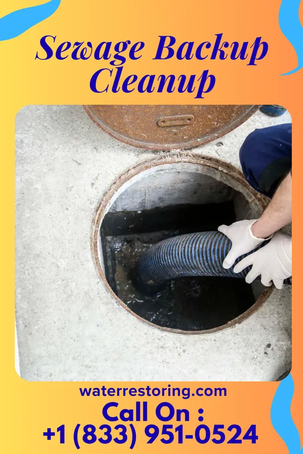 Sewage Backup Cleanup in Edwardsport, IN
